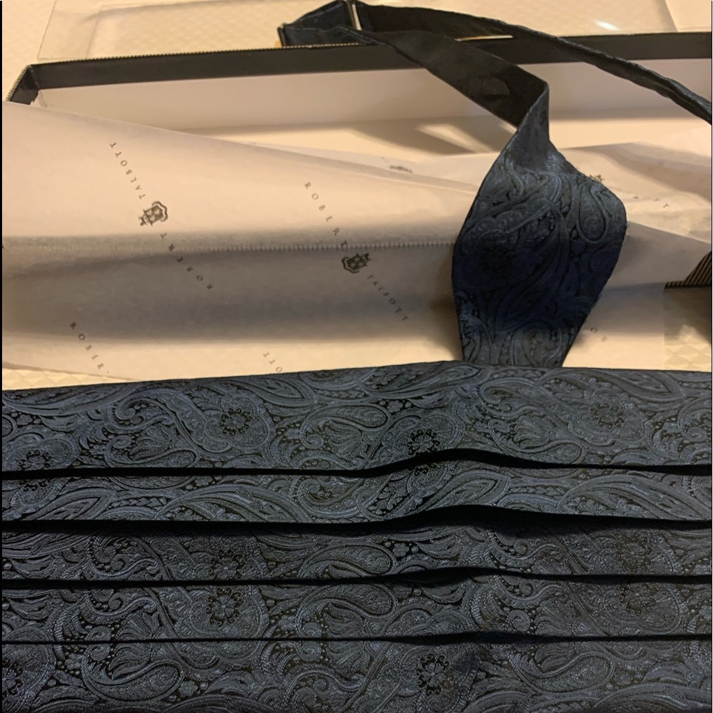 Robert Talbott Protocol Bow Tie And Cummerbund Se… - image 5